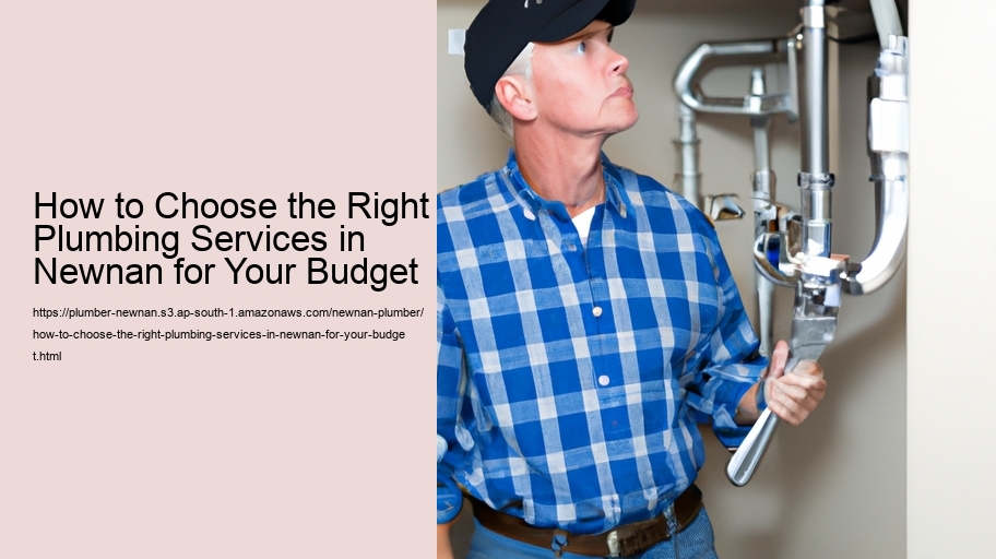 How to Choose the Right Plumbing Services in Newnan for Your Budget